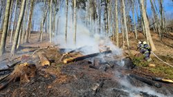 Čtyři jednotky hasičů likvidovaly požár po pálení v lese