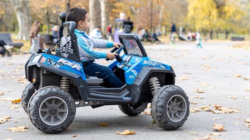 Krádež připravila dítě o radost