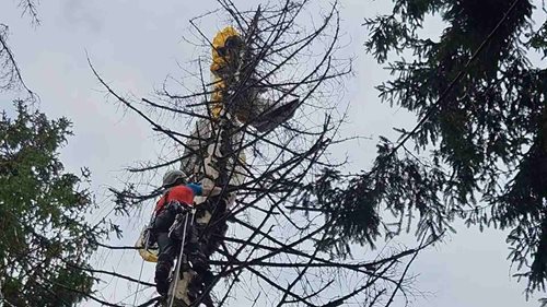 Začínající paraglidista skončil ve vrcholku suchého smrku. Dolů mu pomohli horští záchranáři