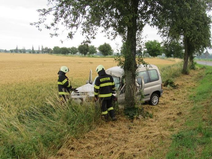 skal.jpg skal.jpg
