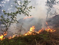 Požár v nepřístupném a skalnatém terénu likvidovali hasiči několik hodin