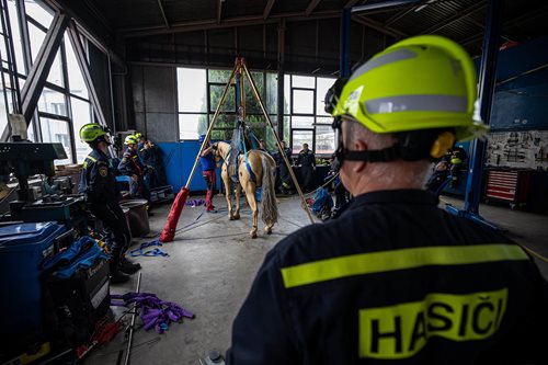 Když jde o život zvířatům: Hasiči nacvičovali záchranu z obtížného terénu