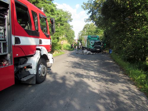 Střet dodávky s koněm si vyžádal dvě zranění jezdců.