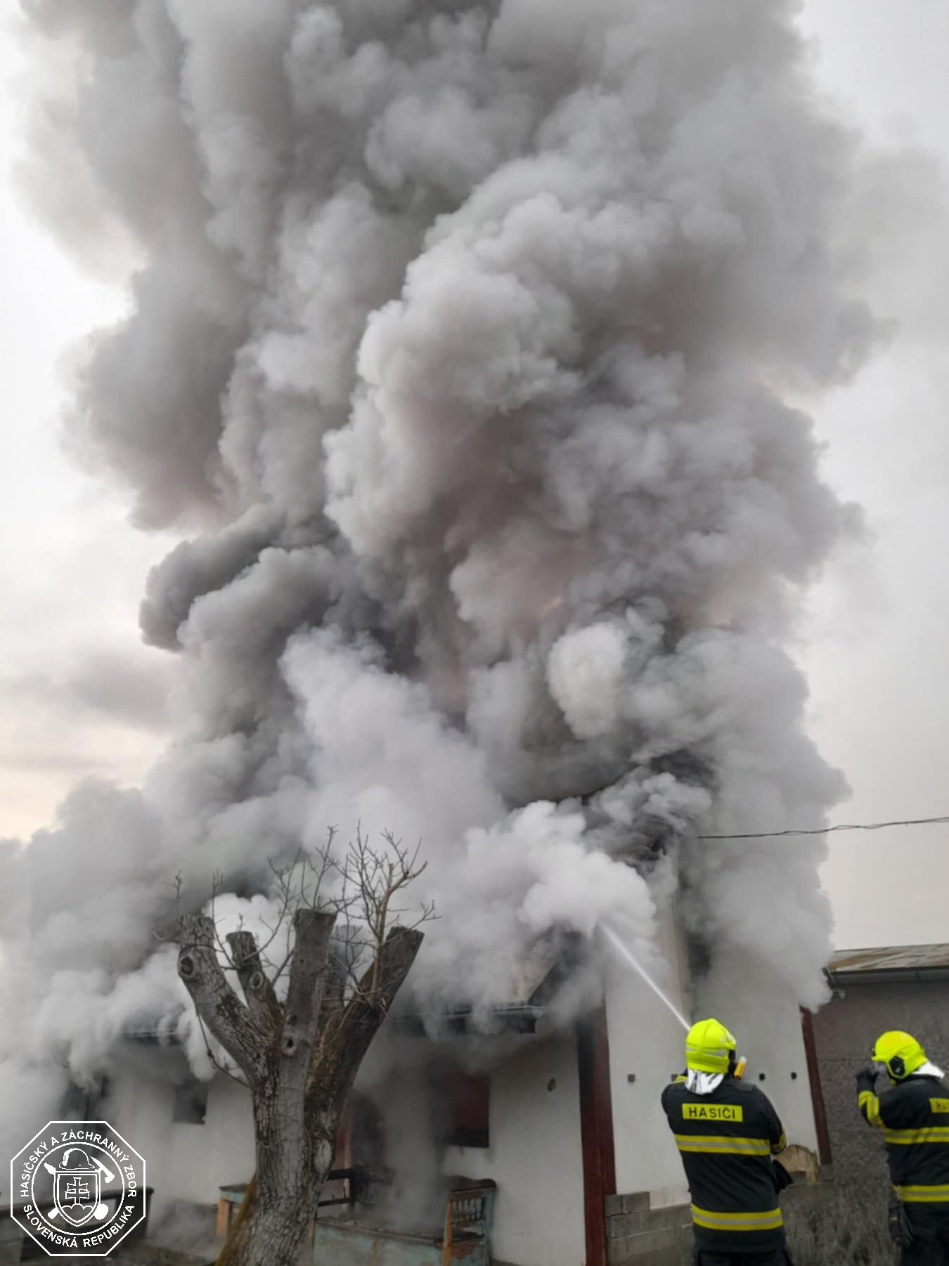 481150945_956259829973622_5507379121798915408_n-(1).jpg 481150945_956259829973622_5507379121798915408_n-(1).jpg