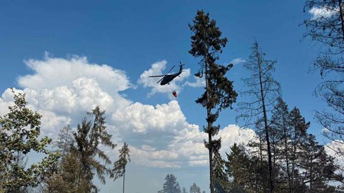 Rozsáhlý požár v Křečovicích. Zasahuje 31 jednotek a Black Hawk, oheň se rozšířil na chatky