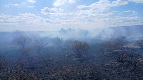 Rozsáhlý požár se rychle šířil k rodinným domům. Hasiči bojovali s plameny na více než osmi hektarech