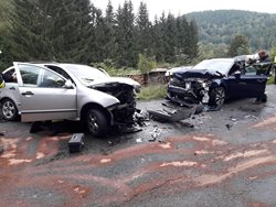 Účastníkem dopravní nehody dvou osobních vozidel byl pes