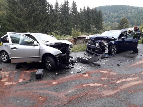 Účastníkem dopravní nehody dvou osobních vozidel byl pes