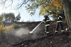 Požár lesního porostu u Petrovic