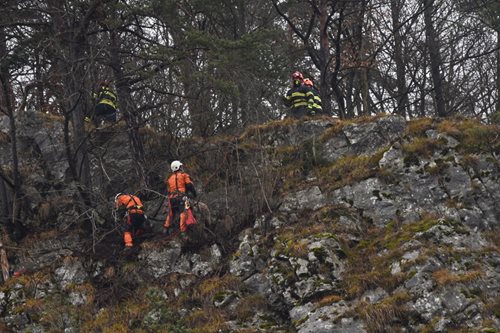 Ze skály zachránili tři ovce