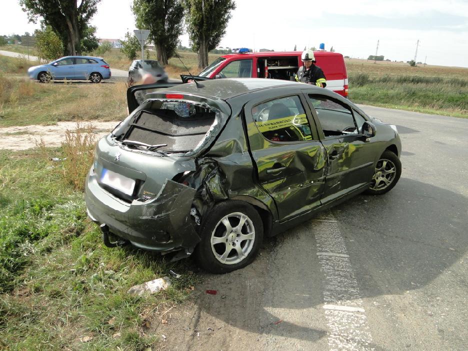 vsestary1Briza-(1).jpg vsestary1Briza-(1).jpg