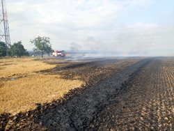 Požár pole zaměstnal sedm jednotek hasičů