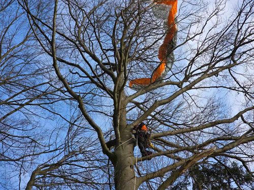 Riskantní chvíle vysoko nad zemí skončily šťastnou záchranou