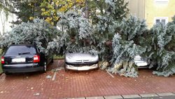 Extrémně silný vítr zasáhl i Pardubický kraj / FOTOGALERIE
