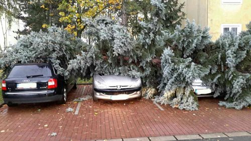 Extrémně silný vítr zasáhl i Pardubický kraj / FOTOGALERIE