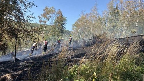 Horká sobota zaměstnala hasiče. Bojovali s požáry polí, lesa i trávy