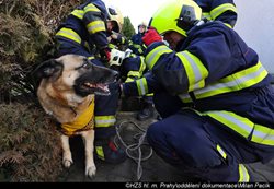 VIDEO-V pražských Hostavicích hasiči zachránili psa, který spadl do studny