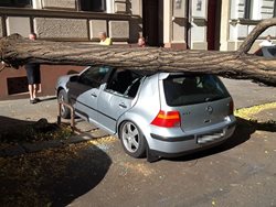 Hasiči odpoledne zasahovali v souvislosti s větrem u sedmnácti událostí
