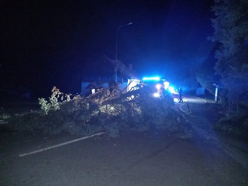 Hasiči v Královéhradeckém kraji likvidovali desítky stromů, noc byla plná výjezdů
