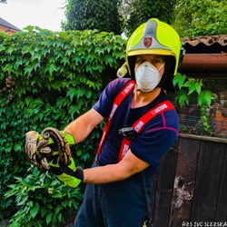 S krajtami se snad na Karvinsku roztrhl pytel, tentokrát byla v Petřvaldu