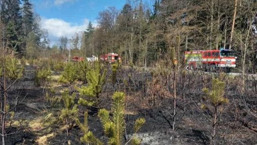 Rychlý požár lesa nabral nebezpečný směr