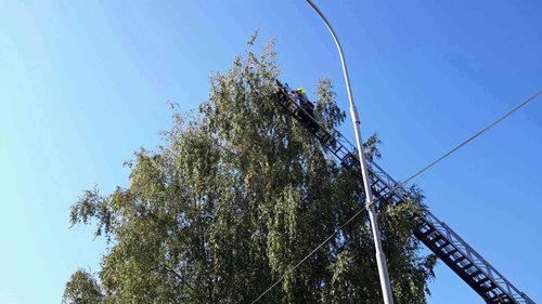 Záchrana papouška byla úspěšná