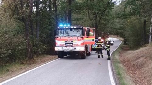Auto po nárazu do stromu zachvátily plameny. Uvnitř byla nalezena mrtvá osoba