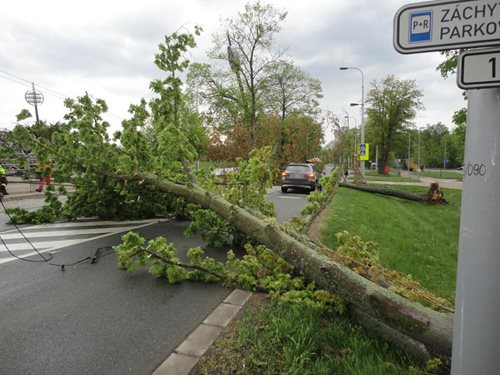 Odpolední bouřka za sebou nechávala popadané stromy i semafory 
