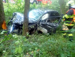 Po nárazu do stromu byl řidič se zraněním odvezen do nemocnice
