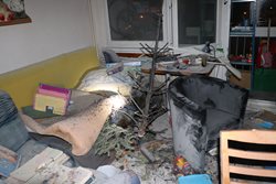 Na Štědrý den  hořely hlavně vánoční stromečky