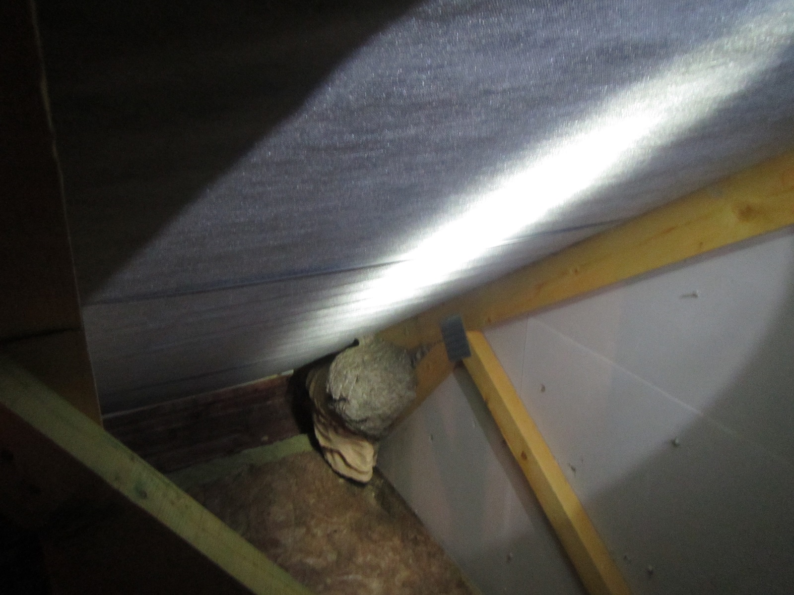 ViewImage-(1).jpg ViewImage-(1).jpg