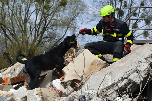 Záchranáři mají nové čtyřnohé posily