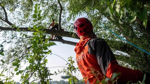 Vylezl na strom nad jezerem, dolů už se bál. Na pomoc museli hasiči