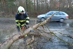 Vysoký stupeň nebezpečí na silný vítr vydali meteorologové