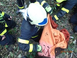 Záchrana srnky pomocí žebříku a deky z úzké šachtice