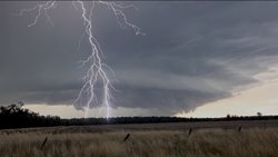Moravskoslezští hasiči vyjížděli kvůli večerním bouřkám, vše bez zranění