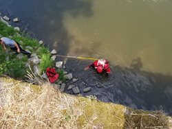 Dvě kočky zachránili před utonutím ve vodě během víkendu hasiči v Hradci Králové a v Jaroměři VIDEO