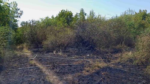 Už 65 požárů ve volné přírodě za jediný týden. Hasiči znovu varují před nedbalostí