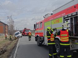 Bizon vyprošťoval na okraji Bohumína dodávku s pivem z příkopu