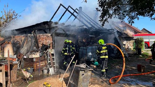 Den po vylíhnutí ho zachraňovali hasiči. Kuřátko Evženek přežilo požár rodinného domu
