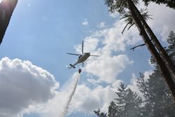 Požár lesní školky u Sudova Hlavna