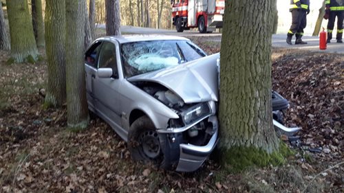 U Týna nad Vltavou narazilo auto do stromu. 