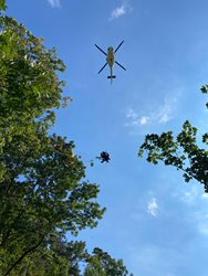 Paraglidistka uvízla v koruně stromu