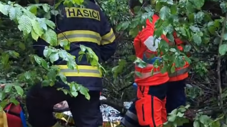 Senior zůstal mezi stromy zaklíněný tři dny, zachránil ho pejskař