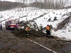 Silný vítr ve Zlínském kraji hlavně vyvracel stromy i poškodil střechy