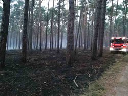 Na Hodonínsku hořel les