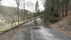 Výjezdy hasičů spojené s likvidací následků silného větru 