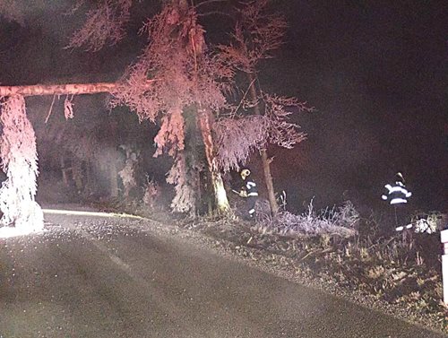 Námraza paralyzovala kraj: Desítky zásahů hasičů kvůli popadaným stromům