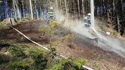 Evidujeme obrovský nárůst požárů porostu