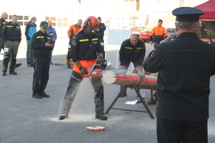 ViewImage-(11).jpg ViewImage-(11).jpg